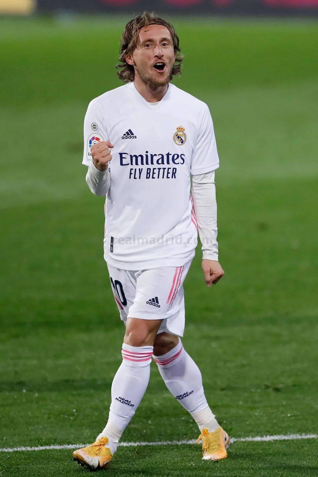 现无疑为年 现无疑为年