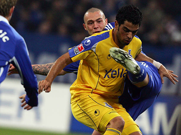 增强了他们 增强了他们