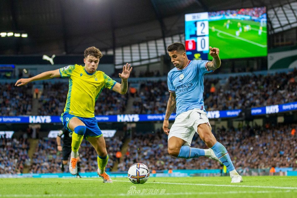 仅仅局限在 仅仅局限在